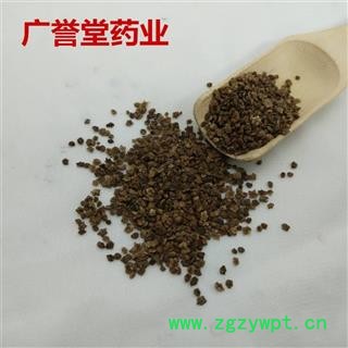 地肤子 东北肤子精活 五星肤子产地 黑龙江省图2