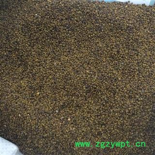 沙苑子 统 产地 陕西省图2