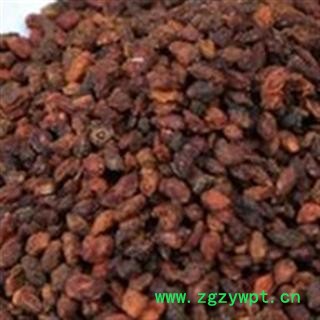 沙棘果 沙棘 选 产地 内蒙古自治区包头市市辖区图2