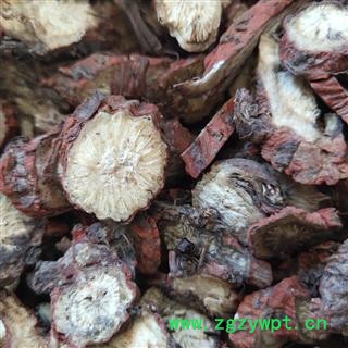 山丹参 丹参片 2.0以上   产地 河北省保定市市辖区图4