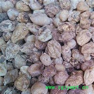 丽江山慈菇   丽江山慈菇统货  无硫加工  产地 云南省丽江市图3