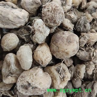 丽江山慈菇   丽江山慈菇统货  无硫加工  产地 云南省丽江市图4