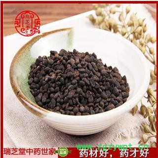 补骨脂  补骨脂选货  药典正品 中药材 瑞芝堂产地直供1000克 规格齐全 一站购齐图2