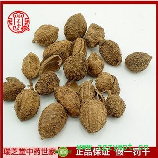 砂仁选货  国产海南壳砂仁 中药材阳 瑞芝堂产地直销1000g规格齐全 一站购齐图3