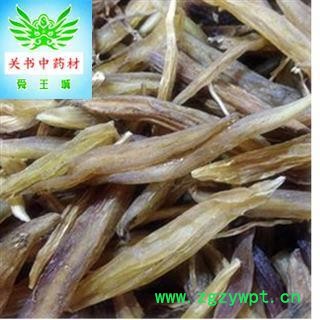 天冬 大天冬选货2.0 产地 广西壮族自治区贵港市图2