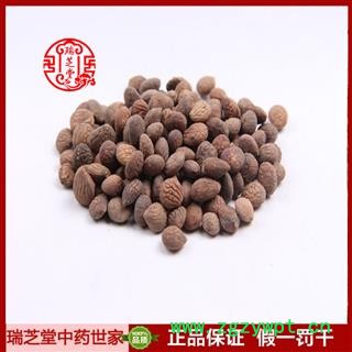 蕤仁统货 蕤仁 山西芮仁 药典正品 中药材 瑞芝堂产地直供1000克 规格齐全 一站购齐图2