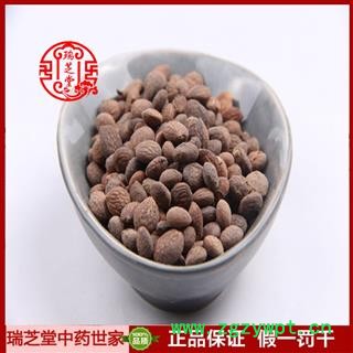 蕤仁统货 蕤仁 山西芮仁 药典正品 中药材 瑞芝堂产地直供1000克 规格齐全 一站购齐图3