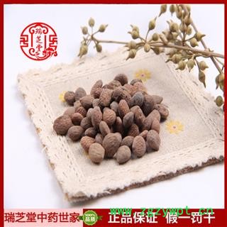蕤仁统货 蕤仁 山西芮仁 药典正品 中药材 瑞芝堂产地直供1000克 规格齐全 一站购齐图4