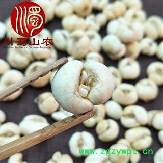 浙贝母个子无硫统货散装1公斤起批产地直供大贝川蜀山农中药材批发图2