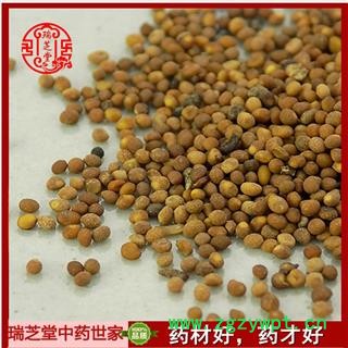 菟丝子统货 内蒙产 兔丝子瑞芝堂1000克图2