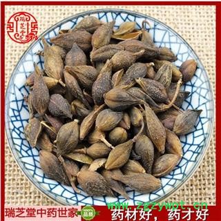 连翘 老翘（黄翘）选货 中药材 瑞芝堂产地直销1000g规格齐全 一站购齐图2