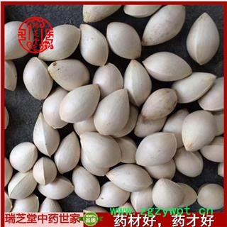 白果统货 颗粒饱满 药典正品 袋装1000克 瑞芝堂产地直销图3