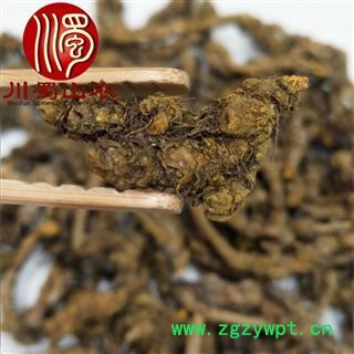 黄连单支统货散装1公斤起批产地直供川黄连川蜀山农中药材批发图2