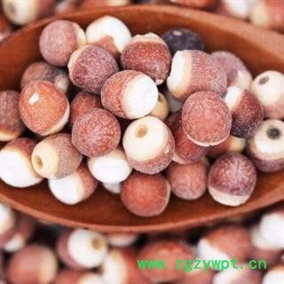 8厘芡实 两瓣芡实 四六瓣芡实 10厘芡实 产地广东 品种齐全 安国中药材市场批发零售图2