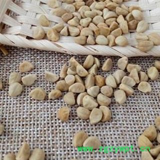 中药材牵牛子 别名黑丑、白丑、二丑、喇叭花、姜姜籽 产地河北 品种齐全 安国市场批发零售大全图2