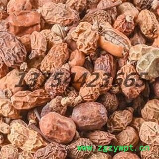 红豆蔻 红豆蔻统货 产地 广西壮族自治区安国市场批发零售大全图2