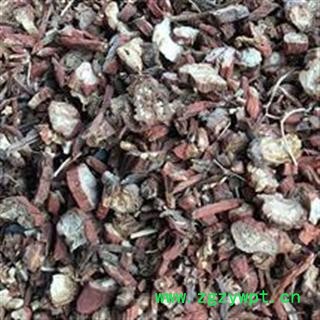 丹参 甘肃丹参 统货 产地 甘肃省图2