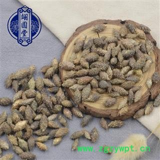 苍耳子 选 产地 陕西省图4