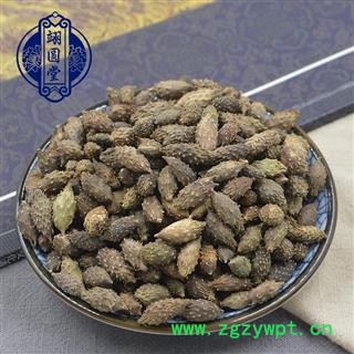 苍耳子 选 产地 陕西省图2