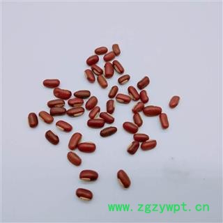 赤小豆 正品赤小豆选货 新货颜色好 纯干货 产地 河南图4