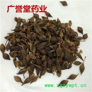 连翘 连翘 选 山西 产地 山西省图3