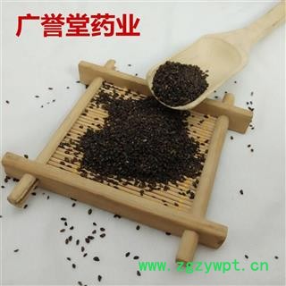 车前子 车前子统货 江西 产地 江西省图2