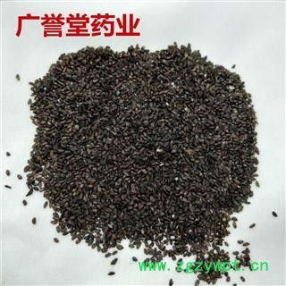 车前子 车前子统货 江西 产地 江西省图4