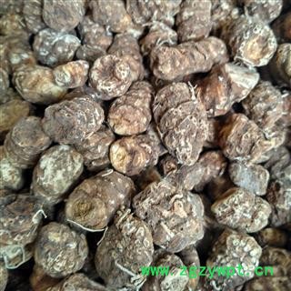 重楼 尼泊尔重楼选货3.0 产地 海外图2