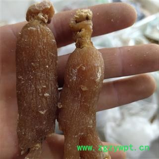 红参 红参有糖30支  6年参 产地 吉林省通化市图2