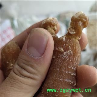 红参 红参有糖30支  6年参 产地 吉林省通化市图3