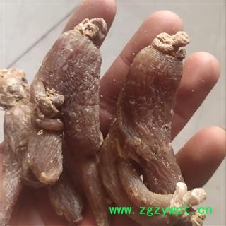 红参 红参有糖30支  6年参 产地 吉林省通化市图4