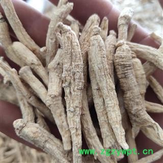 西洋参 西洋参支支4-8g 药方专用产地 吉林省吉林市图3