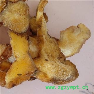 黄精 鸡头黄精 精选（圆片）无硫片 大统货 刚到新货  产地 广西壮族自治区桂林市图2