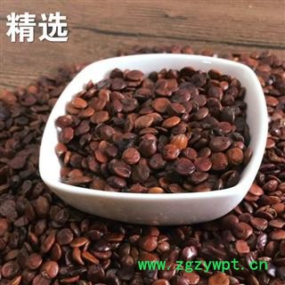 酸枣仁 炒酸枣仁 统 产地 进口货图2