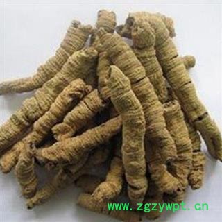 巴戟肉 巴戟肉一级个0.8 产地 广东省湛江市市辖区图2