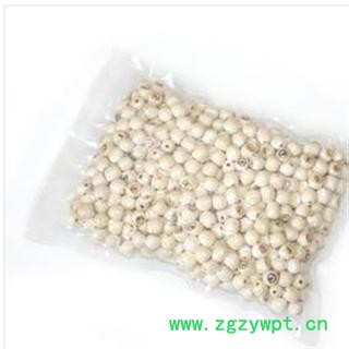 莲子 好统 产地 湖南省湘潭市湘潭县图3