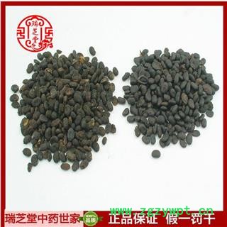 补骨脂 补骨脂饱满统货 瑞芝堂产地直销1000g图3