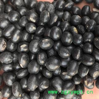 黑豆 黑豆统货 产地 辽宁省图2