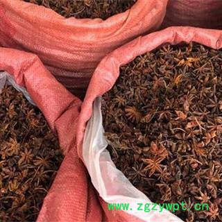 中药材八角茴香 大料 香料 广西产水烫八角茴香 产地 广西壮族自治区 中药材批发零售大全图2