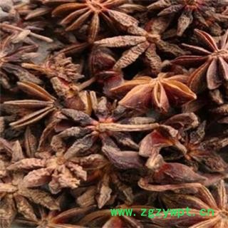 中药材八角茴香 大料 香料 广西产水烫八角茴香 产地 广西壮族自治区 中药材批发零售大全图3