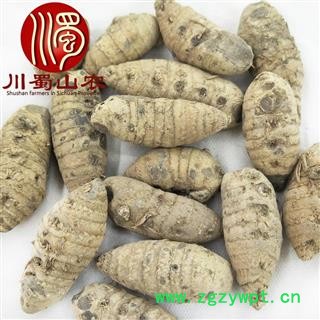 川莪术个子无硫大统货散装1公斤起批产地直供文术川蜀山农中药材批发图4