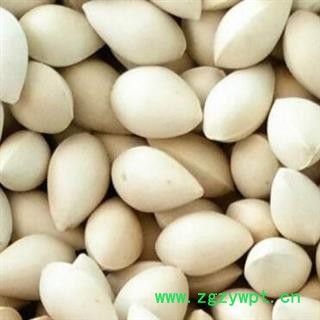 中药材白果 白果统货 产地 江苏省  中药材白果  银杏果安国市场批发零售大全图2