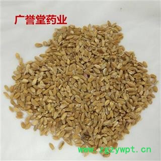 浮小麦 统货 产地 安徽 药品齐全  全品类药材一站购齐图4