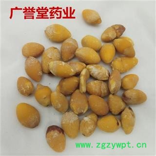 白果 白果仁 选 江苏 产地 江苏省图4