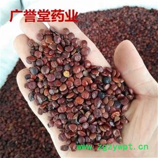 酸枣仁 炒酸枣仁 统 海外 产地 海外图2