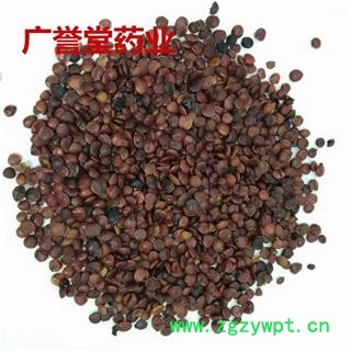 酸枣仁 炒酸枣仁 统 海外 产地 海外图3