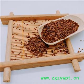 内蒙古新货菟丝子中药材兔丝子无根藤茶泡水泡酒料大货子药图2