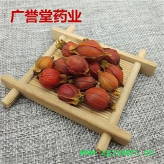 栀子 野生栀子 统 江西 产地 江西省图3