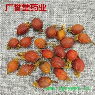 栀子 野生栀子 统 江西 产地 江西省图4