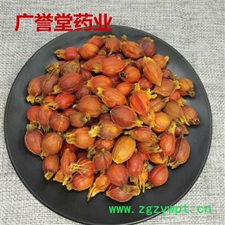 栀子 野生栀子 统 江西 产地 江西省图2